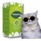 POKUSA GreenLine Probiotic Probiotyk dla kota w płynie 100 ml