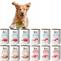 BRIT MONO protein MIX NAJLEPSZYCH SMAKÓW 12x400 g