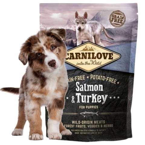 CARNILOVE PUPPY SALMON & TURKEY 1,5KG karma dla szczeniąt premium