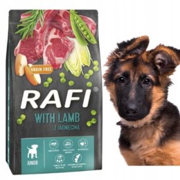 Dolina Noteci RAFI JUNIOR jagniecina szczeniak 10KG LAMB