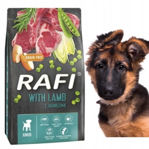 Dolina Noteci RAFI JUNIOR jagniecina szczeniak 10KG LAMB
