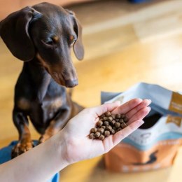 1KG PERRO Wołowina z Batatami dla małych ras 1 kg SUCHA KARMA