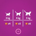 WHISKAS Zdrowy Blask SKIN & COAT przysmak dla kota z kurczakiem 45 g