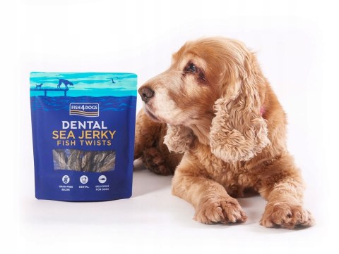 Fish4Dogs Dental Sea Jerky Fish Twists GRYZAK dla psa 100g smaczki