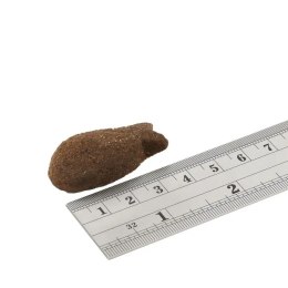 Fish4Dogs SUPPORT+ DIGESTION WHITE FISH MORSLES