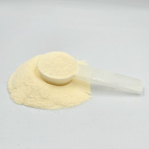 GAME DOG BARFER IsoDog nawodnienie izotonik witaminy dla psa 150 g