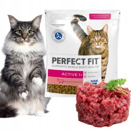 PERFECT FIT ACTIVE 1+ WOŁOWINA SUCHA KARMA DLA AKTYWNYCH KOTÓW 750g