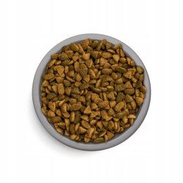 PERFECT FIT SENIOR 7+ 750g SUCHA KARMA Z KURCZAKIEM DLA KOTÓW STARSZYCH