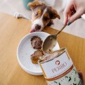 PERRO Junior Jagnięcina z Cukinią 800g karma dla szczeniąt