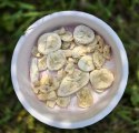 PERRO MIX & MATCH Banan przysmaki liofilizowane 20g