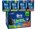 Pakiet Brit Sterilised Plate Chunks Cat Pouches 12