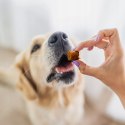 Perro BON BON Indyk - piękna sierść - przysmaki dla psa z dodatkiem funkcyj