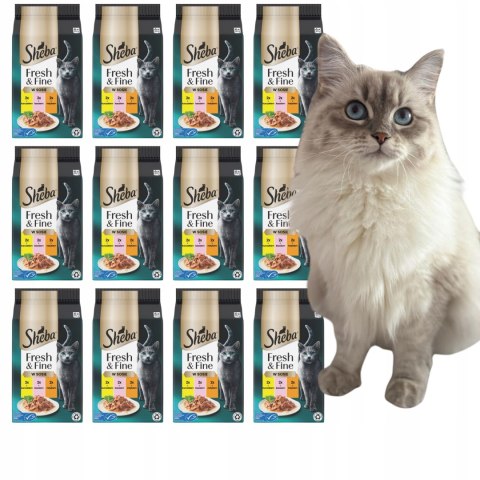 Sheba Fresh & Fine Saszetki 12X (6x50g) W SOSIE Kurczak Łosoś Indyk