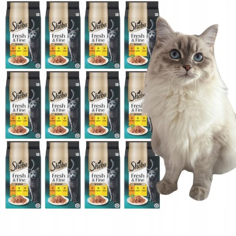 Sheba Fresh & Fine Saszetki 72x50g KURCZAK INDYK KACZKA