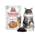 BRIT CARE CAT FILLETS GRAVY STERILIZED HEARTY DUCK POUCH 85g