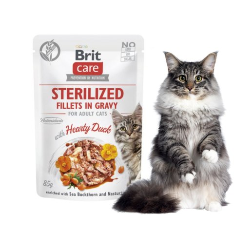 BRIT CARE CAT FILLETS GRAVY STERILIZED HEARTY DUCK POUCH 85g