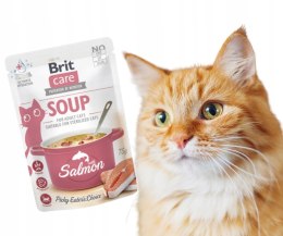 BRIT SALMON SOUP Bezzbożowa MOKRA karma dla dorosłych KOTÓW łosoś 75g