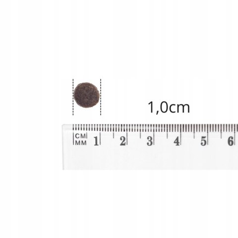 Baltica ADULT Salmon Hypoallergenic 9kg MEDIUM Rybka karma dla alergika