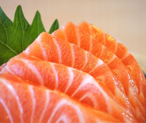 Baltica ADULT Salmon Hypoallergenic 9kg MEDIUM Rybka karma dla alergika