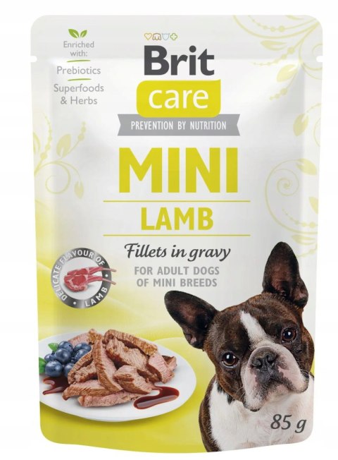 "Brit Care Mini Pouch Rabbit & Salmon 85g".