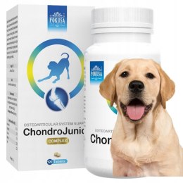 ChondroLine ChondroJunior 120 tab dysplazja Pokusa