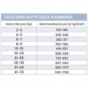 Perro Jagnięcina z dynią dla psów dorosłych 400g Monoproteinowa karma mokra