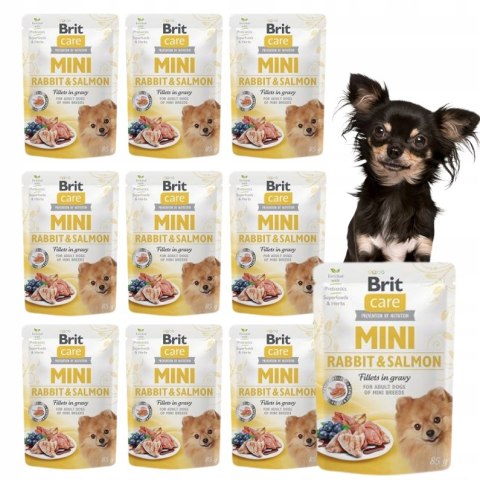 Brit Care Mini Pouch 10x85 Brit Care Mini Pouch Rabbit & Salmon saszetki