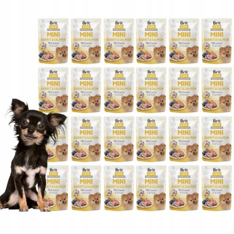 Brit Care Mini Pouch 24x85 Brit Care Mini Pouch Rabbit & Salmon saszetki