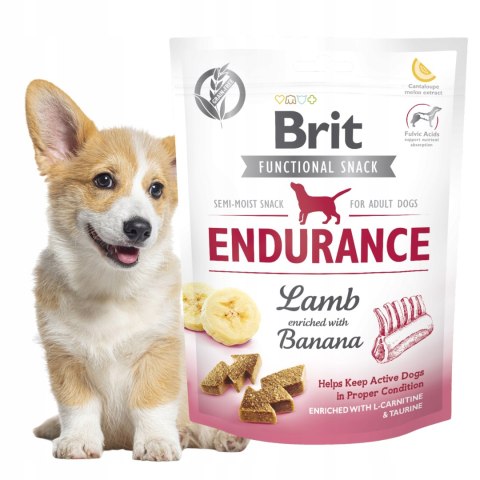 Brit Functional Endurance Lamb Banana 150g PRZYSMAK FUNKCYJNY DLA PSA