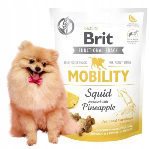 Brit Functional Mobility Squid Pineapple150g Stawy PRZYSMAK DLA PSA