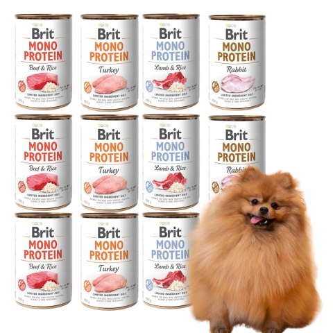 Brit MonoProtein MIX MEGA SMAKI 12x400g