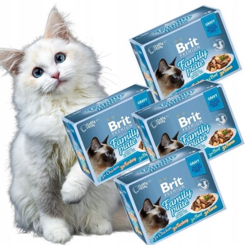 Brit Saszetki dla Kota Family Plate 4x12CAT POUCH GRAVY FILLET 1020g