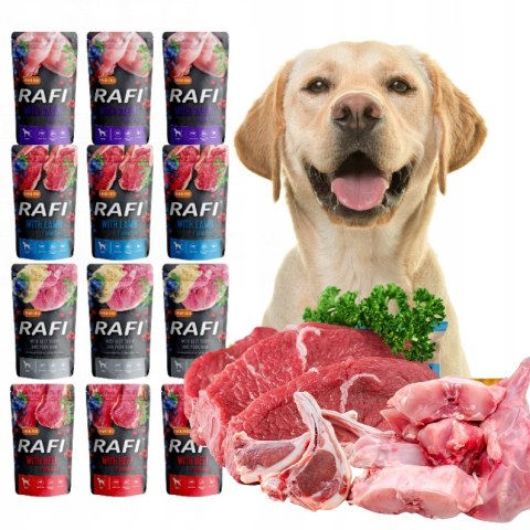 DOLINA NOTECI RAFI SASZETKI PREMIUM MIX 12x500g