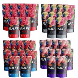 DOLINA NOTECI RAFI SASZETKI PREMIUM MIX 40x500g