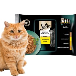 Sheba Selection Select Slices Drobiowe Smaki 4x85g Karma Dla Kota W Sosie