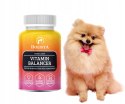 HOLISTA Vitamin Balancer suplement witaminowo - mineralny 90 tabletek