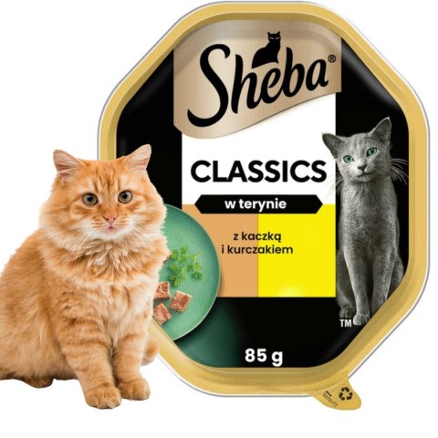 MARS Sheba tac.85gx6(4+2G) kaczka/kurczak pasztet (4) NEW