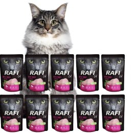Rafi Cat Dolina Noteci Saszetki DLA KOTA INDYK 10x100g