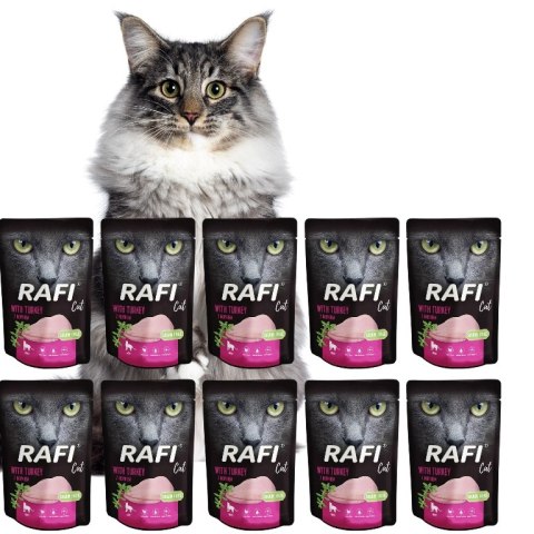 Rafi Cat Dolina Noteci Saszetki DLA KOTA INDYK 10x100g