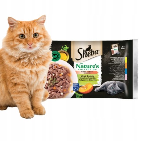 SHEBA Nature's Collection PAKIET PRÓBNY ZESTAW 14X340G wybór smaków