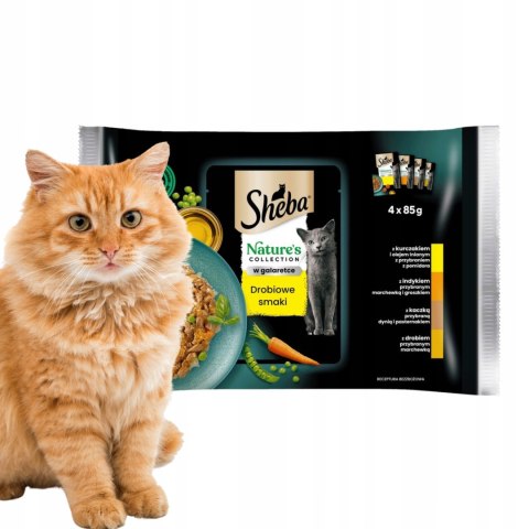 SHEBA Nature's Collection PAKIET PRÓBNY ZESTAW 14X340G wybór smaków