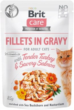 BRIT FILLETS IN GRAVY ZESTAW SASZETEK DLA KOTA 12X85G FILETY W SOSIE