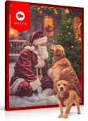 MACED KALENDARZ ADWENTOWY 155 G