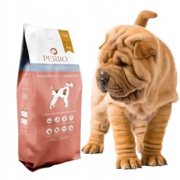 PERRO Karma Bezzbożowa Wołowina z Jagnięciną Średnie Duże Rasy 1kg dla Psa