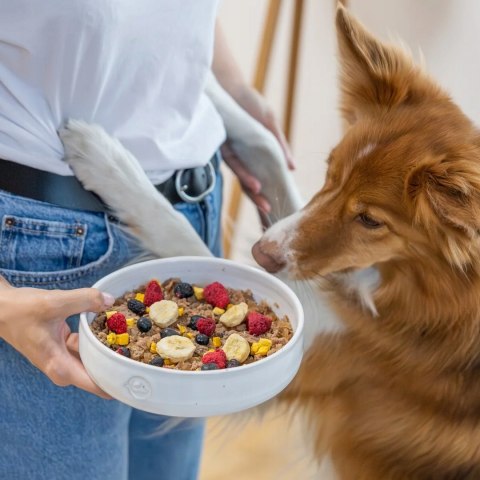 Perro MIX & MATCH przysmaki liofilizowane DYNIA 15g