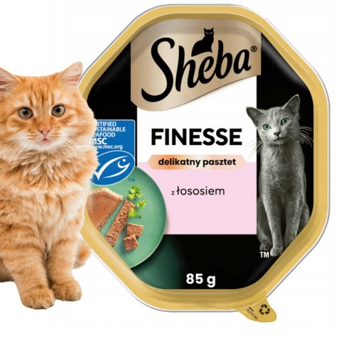 Sheba tacKA 85g łosoś pasztet (4) pyszna karma dla kota wybrednego