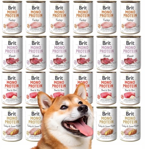 BRIT MONO protein MIX NAJLEPSZYCH SMAKÓW 24x400 g