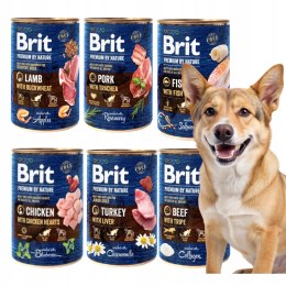 BRIT PREMIUM BY NATURE 6X400 MIX SMAKÓW