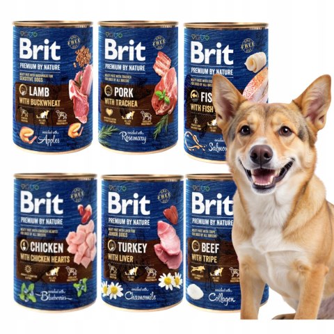 BRIT PREMIUM BY NATURE 6X400 MIX SMAKÓW