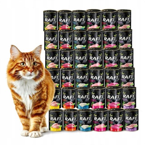 DOLINA NOTECI RAFI CAT 48X400 ZESTAW MOKRA KARMA DLA KOTA DOROSŁEGO